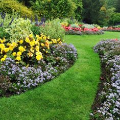 a garden with flower beds