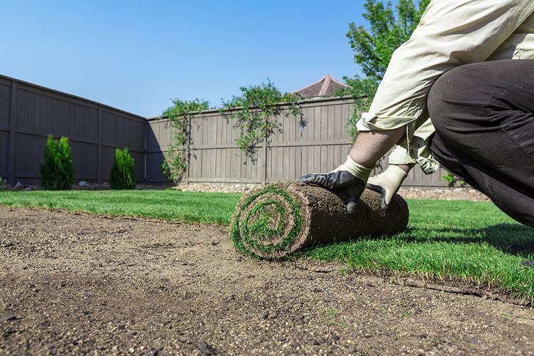 A gardener laying down some new turf