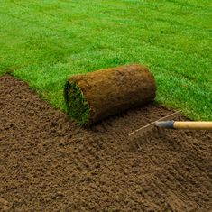 new turf being laid in a garden