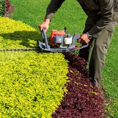 A gardener trimming a hedge