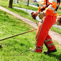 a gardener cutting frass with a strimmer